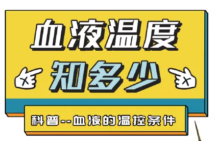 从36.5℃到-18℃，你捐献的血液都经历了什么？