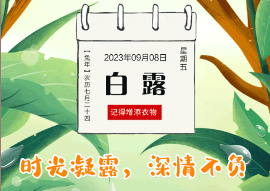 白露丨时光凝露，深情不负