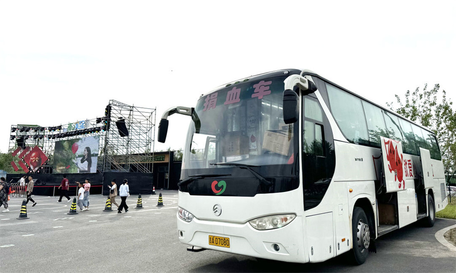 05.jpg