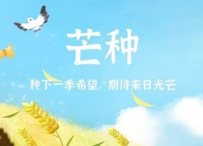 芒种丨种下一季希望，期待来日光芒